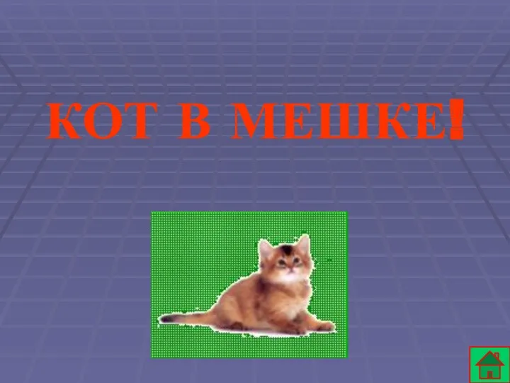 КОТ В МЕШКЕ!