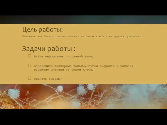 Цель работы: Выяснить как быстро растет плесень на белом хлебе и на других