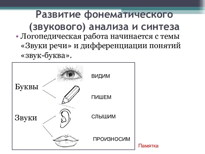 Развитие фонематического (звукового) анализа и синтеза Логопедическая работа начинается с