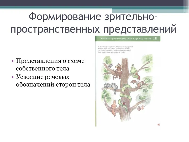 Формирование зрительно-пространственных представлений Представления о схеме собственного тела Усвоение речевых обозначений сторон тела