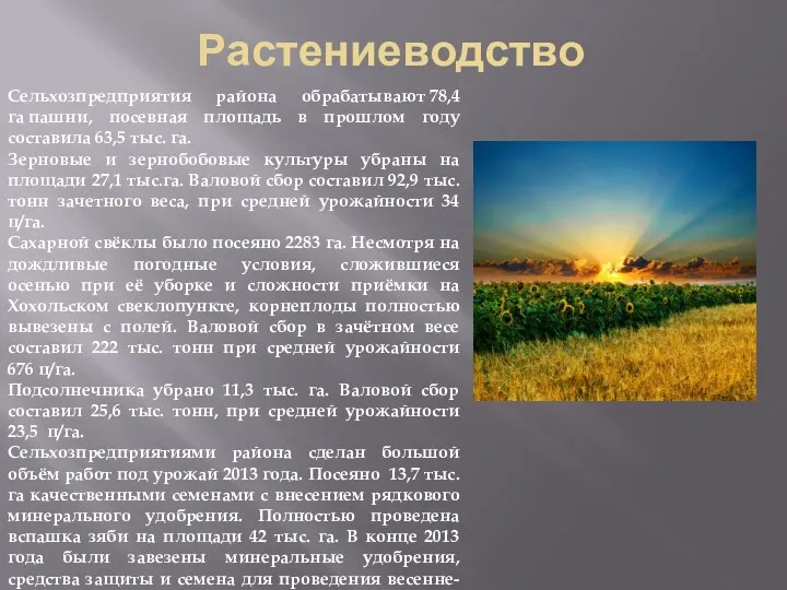 Растениеводство Сельхозпредприятия района обрабатывают 78,4 га пашни, посевная площадь в