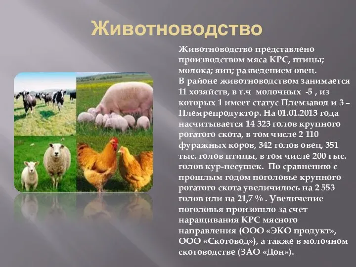 Животноводство Животноводство представлено производством мяса КРС, птицы; молока; яиц; разведением овец. В районе