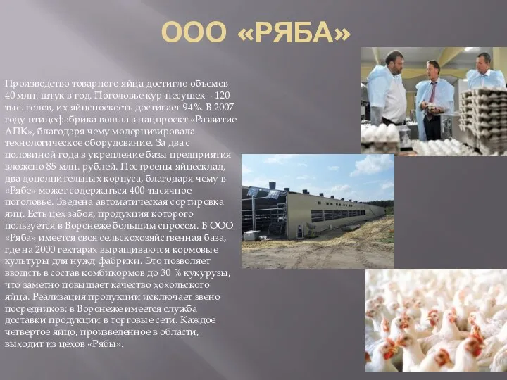 ООО «РЯБА» Производство товарного яйца достигло объемов 40 млн. штук в год. Поголовье