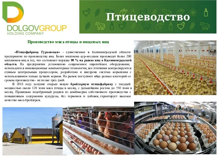 Производство мяса птицы и пищевых яиц «Птицефабрика Гурьевская» - единственное