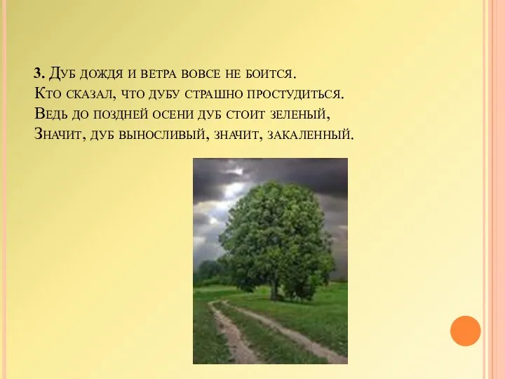 3. Дуб дождя и ветра вовсе не боится. Кто сказал,