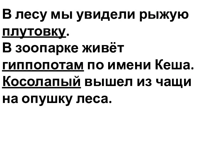 В лесу мы увидели рыжую плутовку. В зоопарке живёт гиппопотам