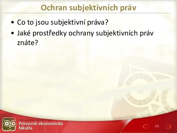 Ochran subjektivních práv Co to jsou subjektivní práva? Jaké prostředky ochrany subjektivních práv znáte?