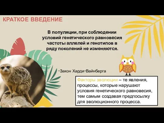 В популяции, при соблюдении условий генетического равновесия частоты аллелей и