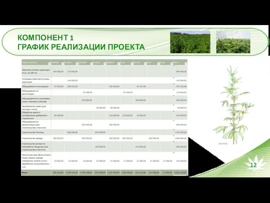 КОМПОНЕНТ 1 ГРАФИК РЕАЛИЗАЦИИ ПРОЕКТА