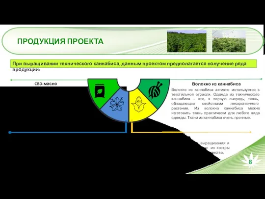 ПРОДУКЦИЯ ПРОЕКТА При выращивании технического каннабиса, данным проектом предполагается получение ряда продукции: