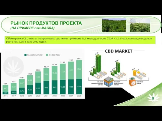 РЫНОК ПРОДУКТОВ ПРОЕКТА (НА ПРИМЕРЕ CBD-МАСЛА) Объем рынка CBD-масла, по