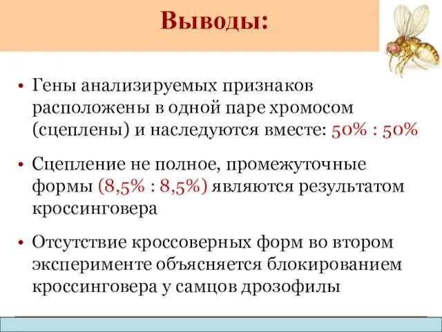 Гены анализируемых признаков расположены в одной паре хромосом (сцеплены) и