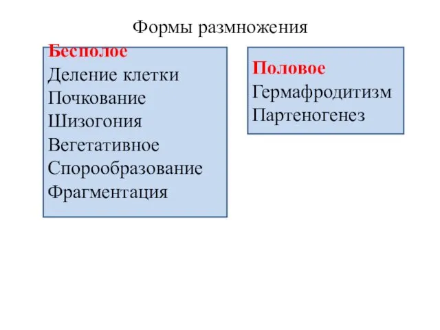 Формы размножения Бесполое Деление клетки Почкование Шизогония Вегетативное Спорообразование Фрагментация Половое Гермафродитизм Партеногенез