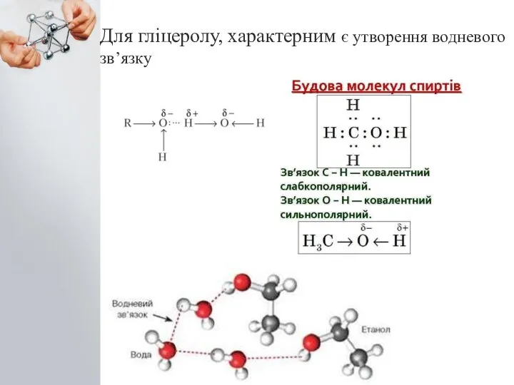 Для гліцеролу, характерним є утворення водневого зв’язку