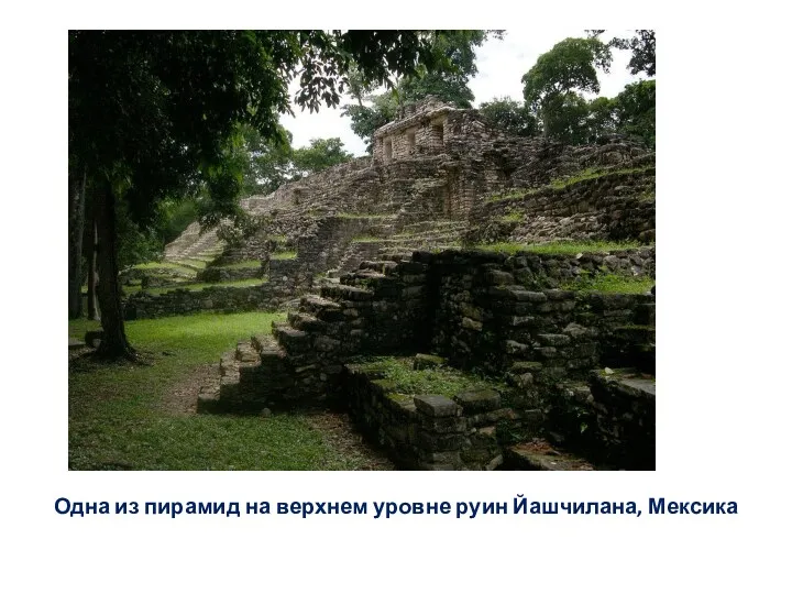 Одна из пирамид на верхнем уровне руин Йашчилана, Мексика