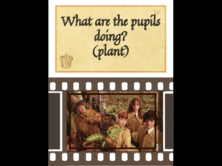 What are the pupils doing? (plant)