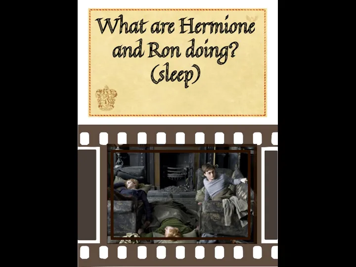 What are Hermione and Ron doing? (sleep)