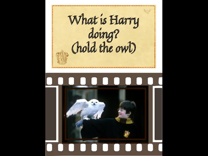 What is Harry doing? (hold the owl)