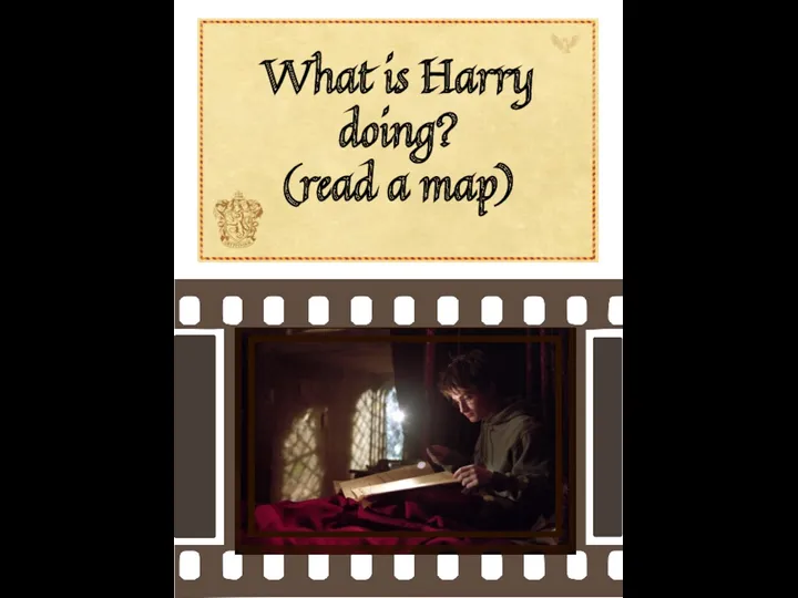 What is Harry doing? (read a map)