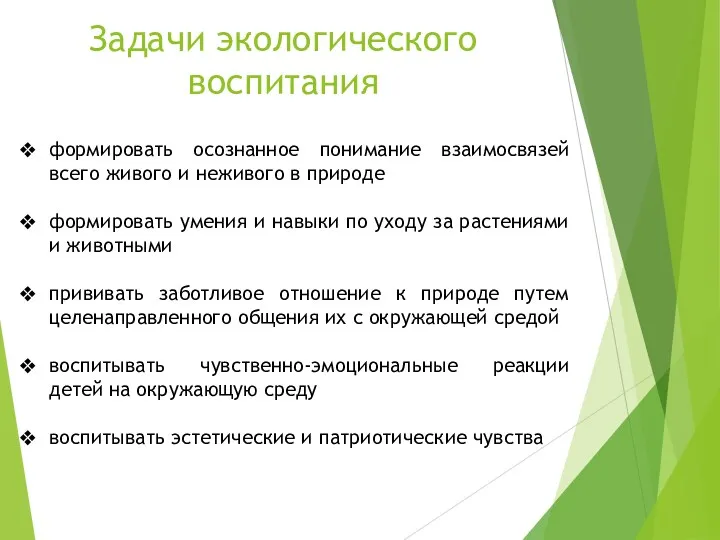 Задачи экологического воспитания формировать осознанное понимание взаимосвязей всего живого и