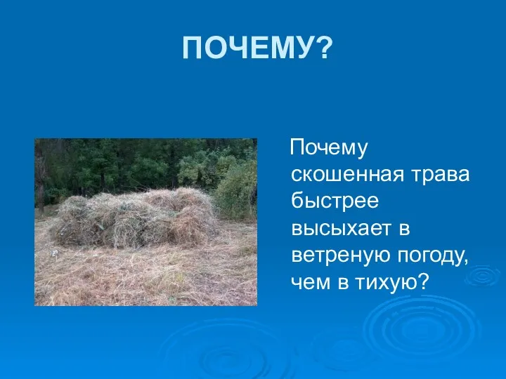 ПОЧЕМУ? Почему скошенная трава быстрее высыхает в ветреную погоду, чем в тихую?