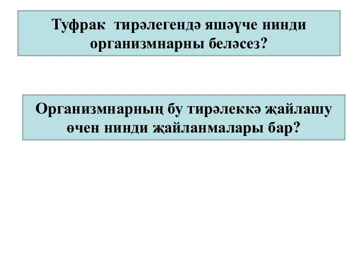 Туфрак тирәлегендә яшәүче нинди организмнарны беләсез? Организмнарның бу тирәлеккә җайлашу өчен нинди җайланмалары бар?