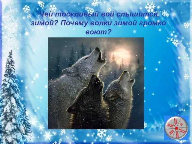 Волки сообщают, что территория занята; передают сородичам послание о добыче.