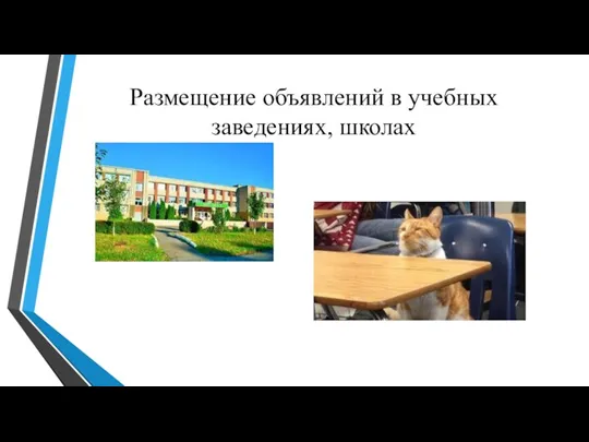 Размещение объявлений в учебных заведениях, школах