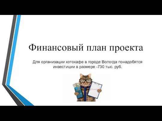 Финансовый план проекта Для организации котокафе в городе Вологда понадобятся инвестиции в размере -730 тыс. руб.