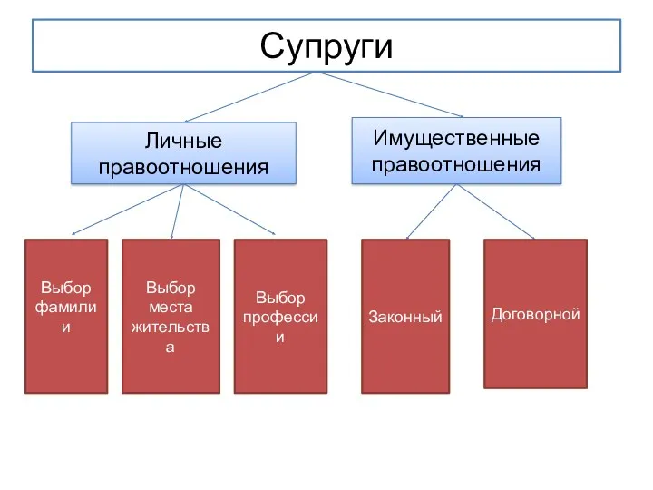 Супруги Личные правоотношения Имущественные правоотношения Выбор фамилии Выбор места жительства Выбор профессии Законный Договорной