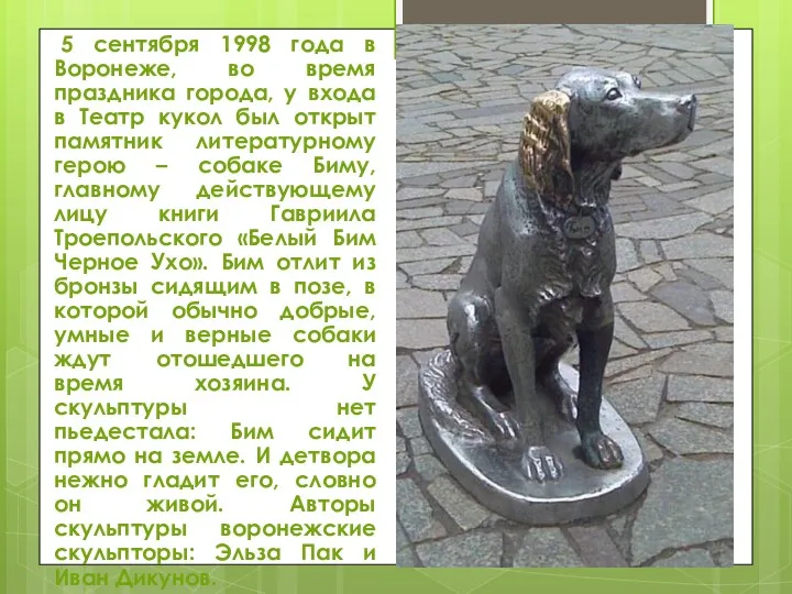 5 сентября 1998 года в Воронеже, во время праздника города, у входа в
