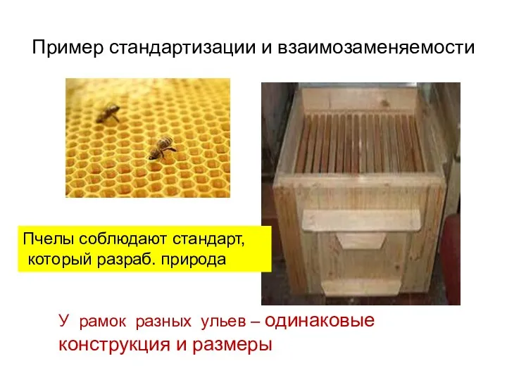 Пример стандартизации и взаимозаменяемости Пчелы соблюдают стандарт, который разраб. природа