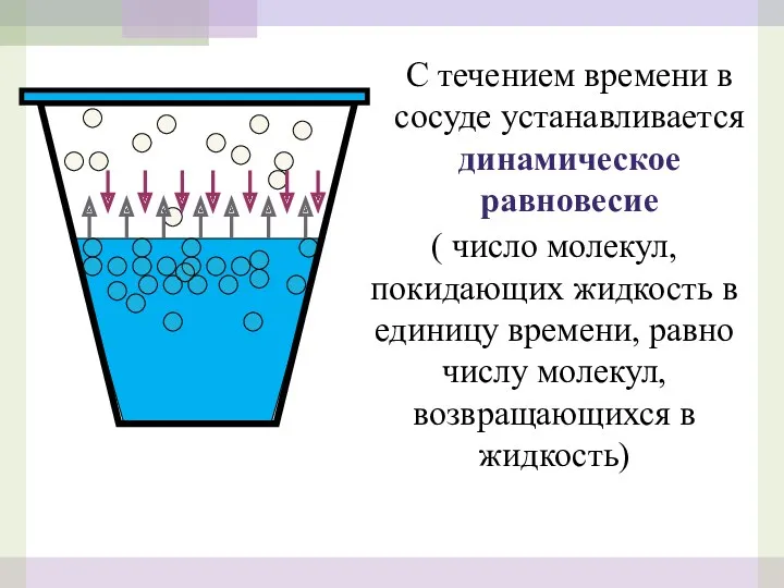 С течением времени в сосуде устанавливается динамическое равновесие ( число