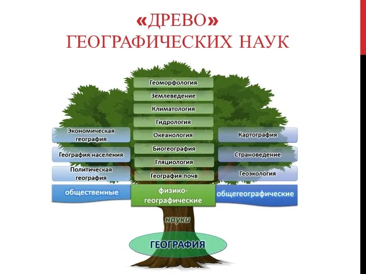 «ДРЕВО» ГЕОГРАФИЧЕСКИХ НАУК