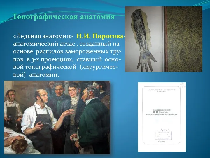 Топографическая анатомия «Ледяная анатомия» Н.И. Пирогова- анатомический атлас , созданный