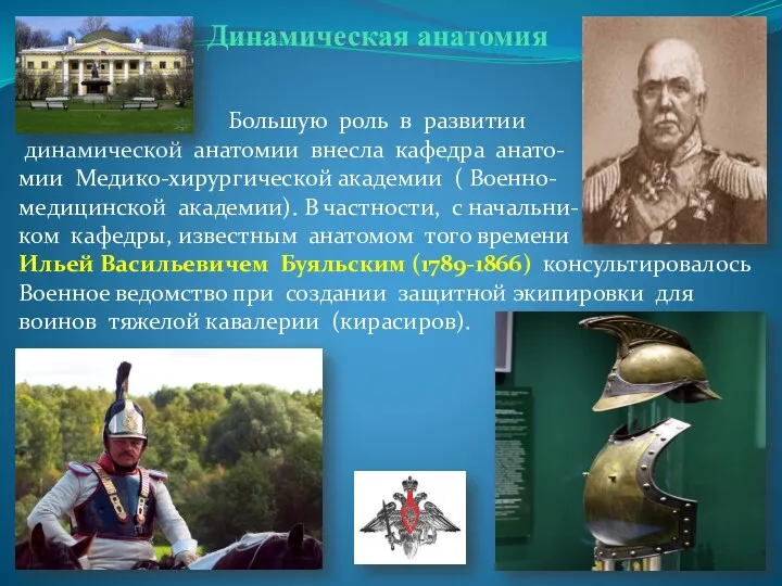 Динамическая анатомия Большую роль в развитии динамической анатомии внесла кафедра