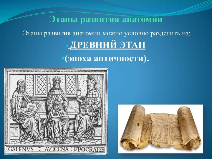 Этапы развития анатомии Этапы развития анатомии можно условно разделить на: ДРЕВНИЙ ЭТАП (эпоха античности).