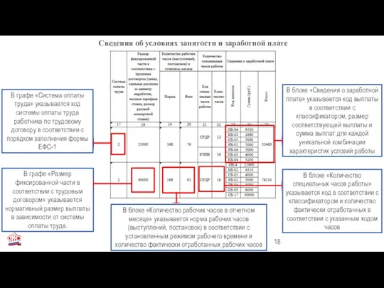 Сведения об условиях занятости и заработной плате В графе «Система