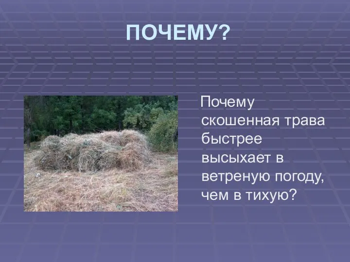 ПОЧЕМУ? Почему скошенная трава быстрее высыхает в ветреную погоду, чем в тихую?