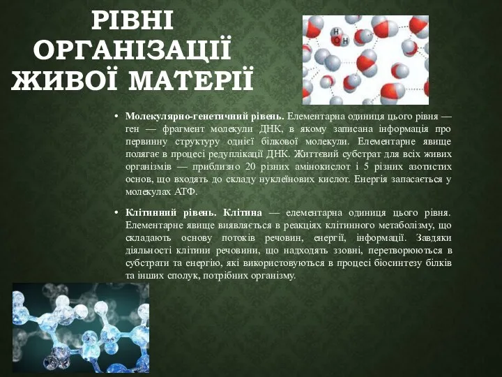 РІВНІ ОРГАНІЗАЦІЇ ЖИВОЇ МАТЕРІЇ Молекулярно-генетичний рівень. Елементарна одиниця цього рівня