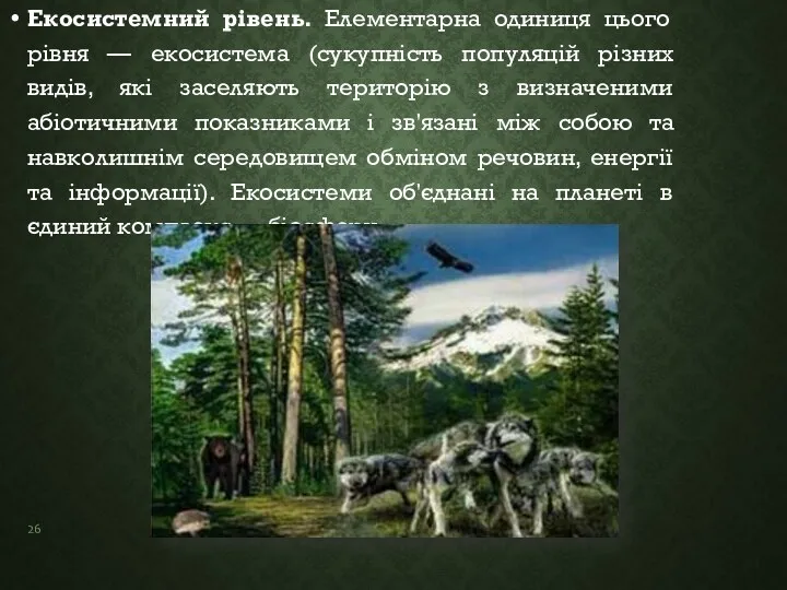 Екосистемний рівень. Елементарна одиниця цього рівня — екосистема (сукупність популяцій