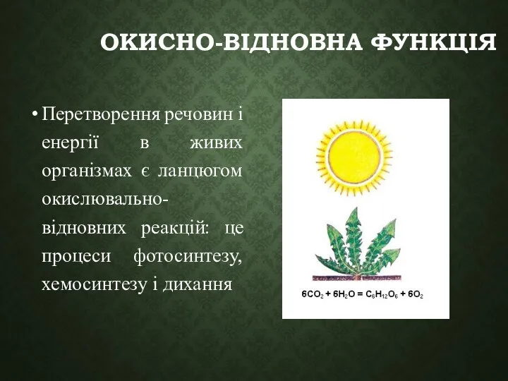 ОКИСНО-ВІДНОВНА ФУНКЦІЯ Перетворення речовин і енергії в живих організмах є