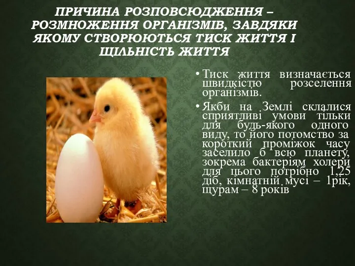 ПРИЧИНА РОЗПОВСЮДЖЕННЯ – РОЗМНОЖЕННЯ ОРГАНІЗМІВ, ЗАВДЯКИ ЯКОМУ СТВОРЮЮТЬСЯ ТИСК ЖИТТЯ