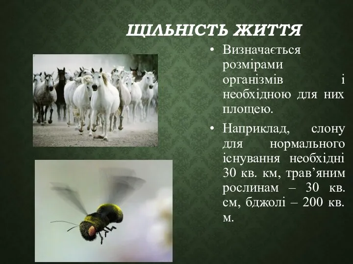 ЩІЛЬНІСТЬ ЖИТТЯ Визначається розмірами організмів і необхідною для них площею.