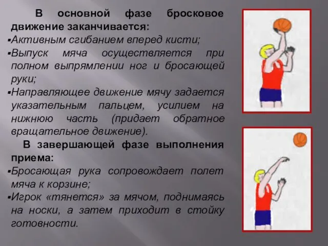 В основной фазе бросковое движение заканчивается: Активным сгибанием вперед кисти;