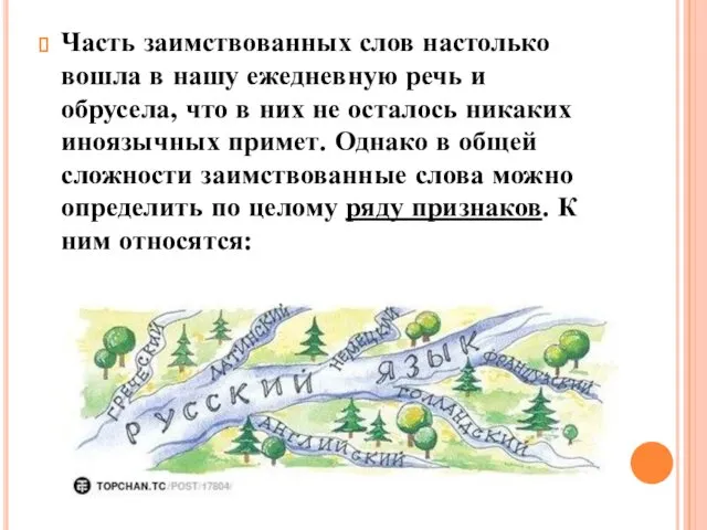 Часть заимствованных слов настолько вошла в нашу ежедневную речь и