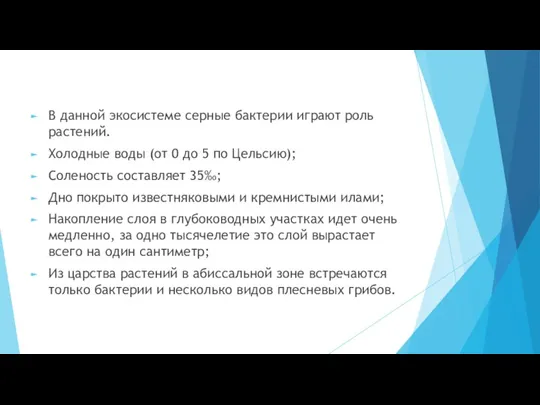 В данной экосистеме серные бактерии играют роль растений. Холодные воды