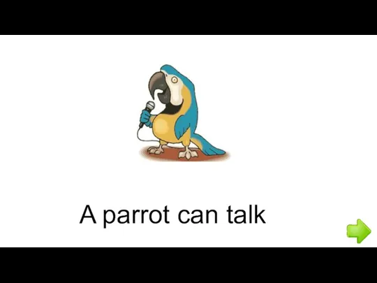 A parrot can talk