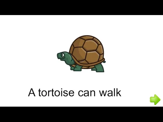 A tortoise can walk