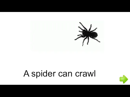 A spider can crawl